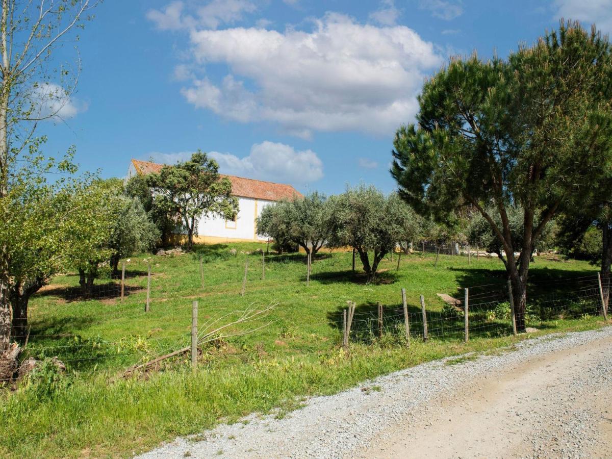 House With Authentic Tiling And Antique Furniture Villa Montemor-o-Novo Eksteriør bilde